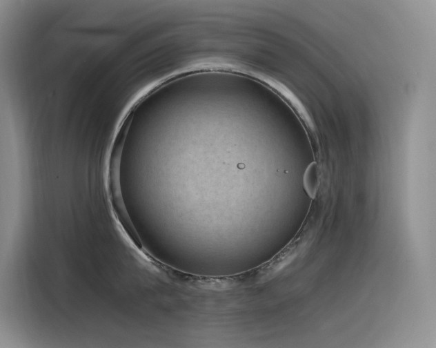X0000116100815200911231124