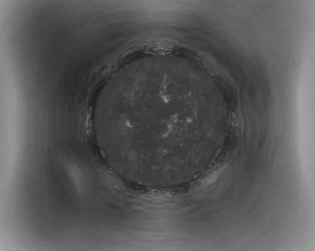 X0000116100818200911231123