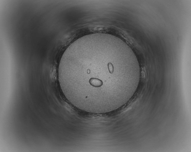 X0000116100820200911231123