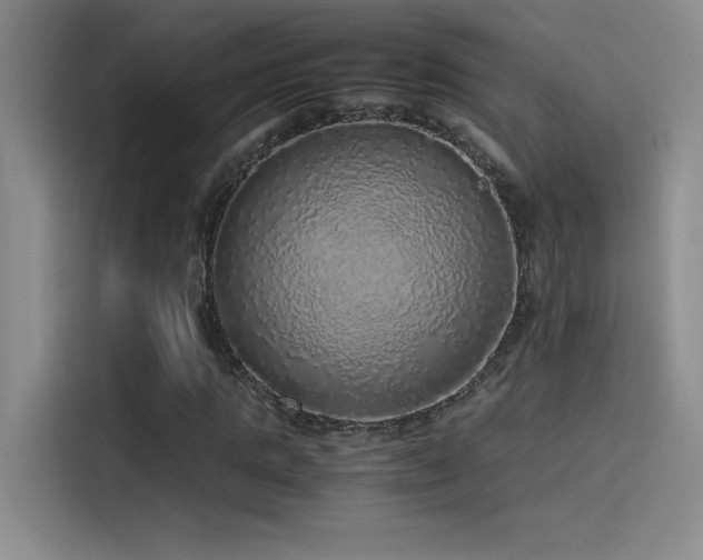 X0000116100821200911231123