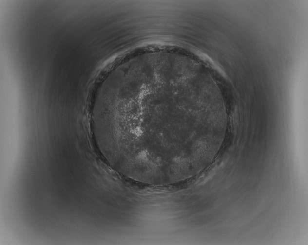 X0000116100822200911231123