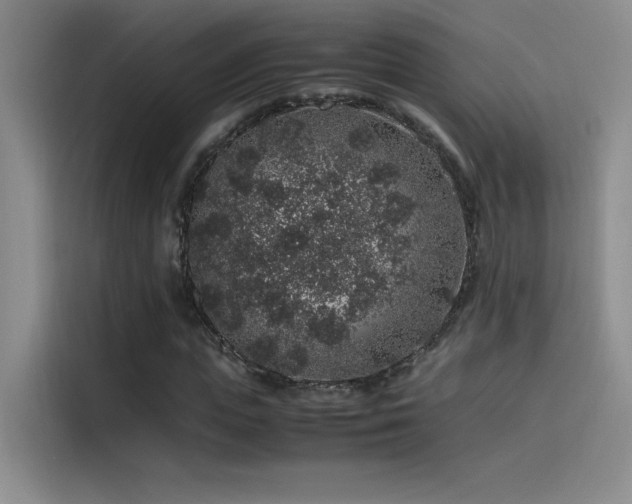 X0000116100823200911231123