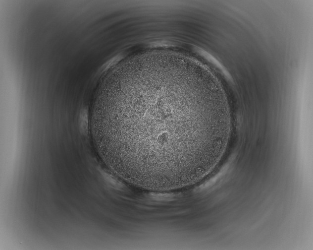 X0000116100825200911231124