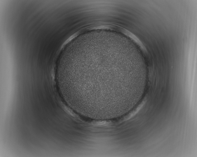 X0000116100826200911231124