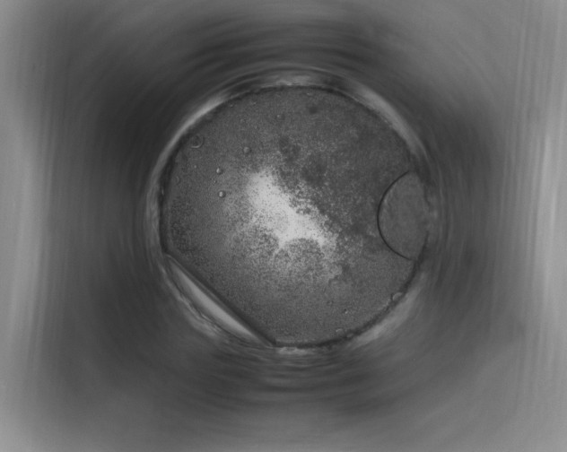 X0000116100827200911231124