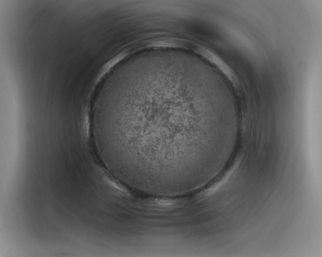 X0000116100829200911231124
