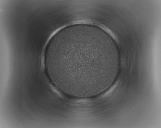 X0000116100830200911231124