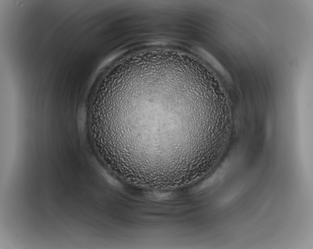 X0000116100831200911231124