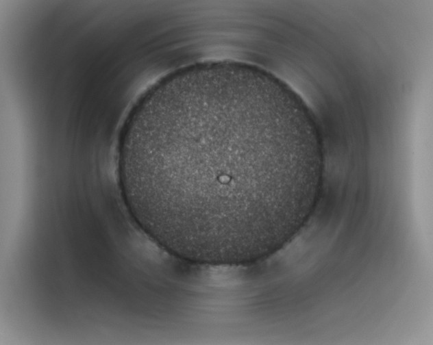 X0000116100832200911231124