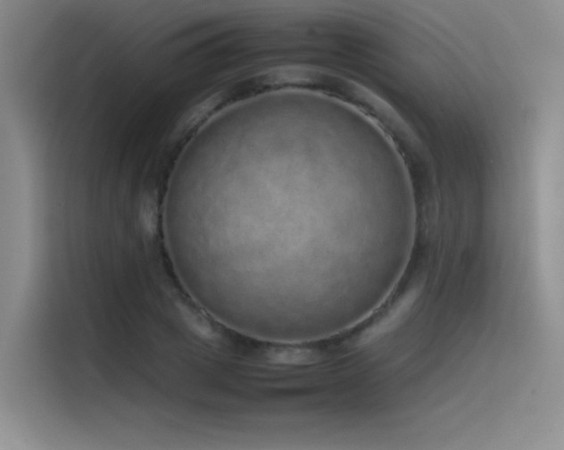 X0000116100833200911231124