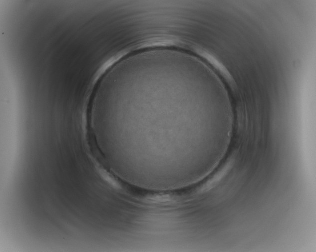 X0000116100834200911231124