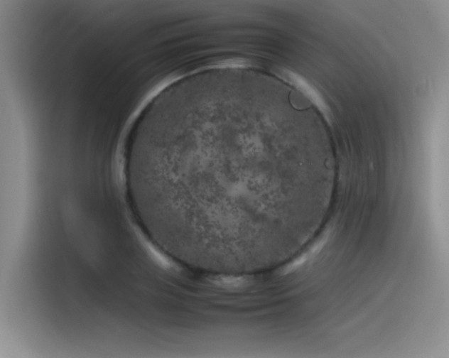 X0000116100835200911231124