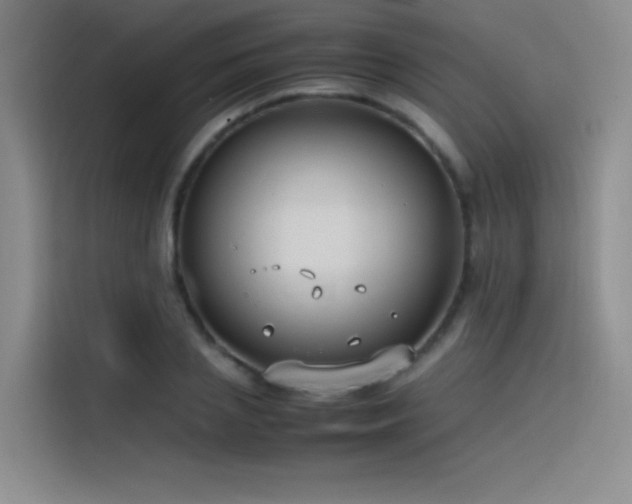 X0000116100837200911231124
