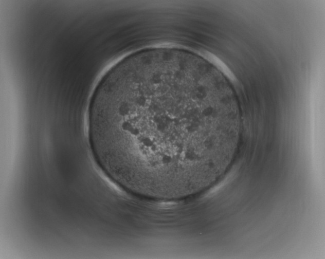 X0000116100839200911231124