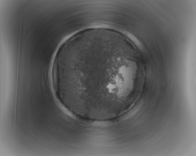 X0000116100840200911231124