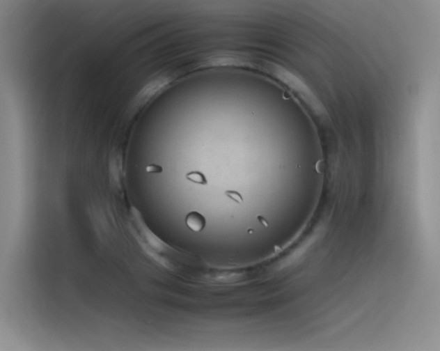 X0000116100841200911231124