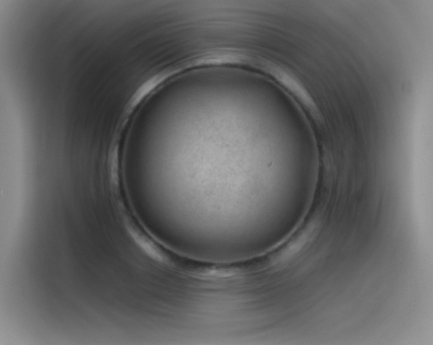 X0000116100842200911231124
