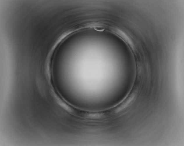 X0000116100843200911231124