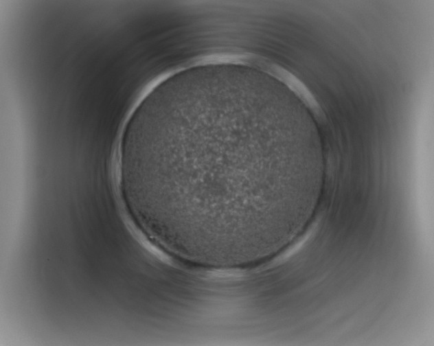 X0000116100844200911231124