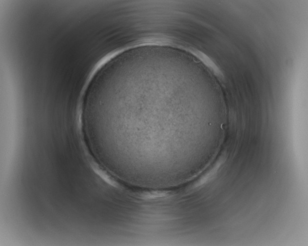 X0000116100846200911231124