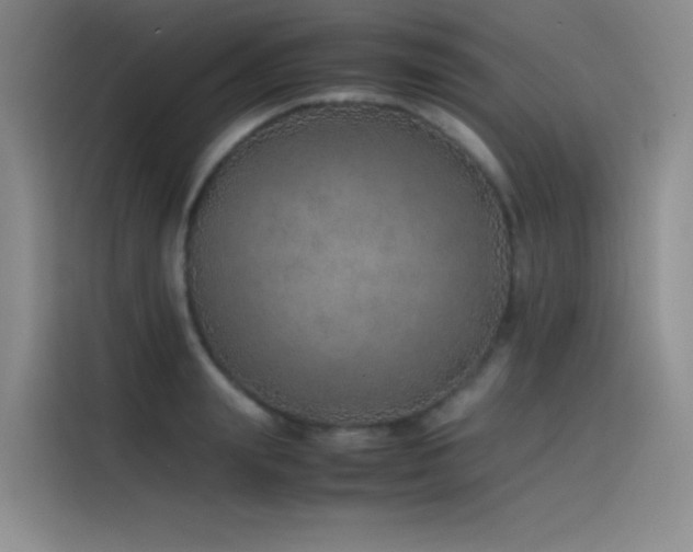 X0000116100847200911231124