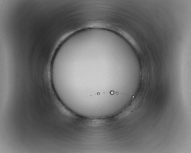 X0000116100848200911231124
