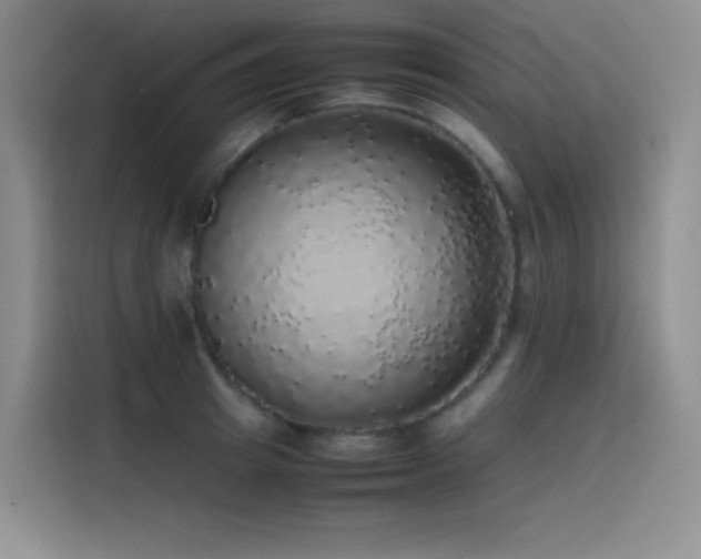 X0000116100849200911231124
