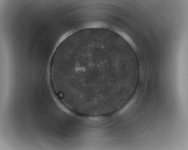 X0000116100850200911231124
