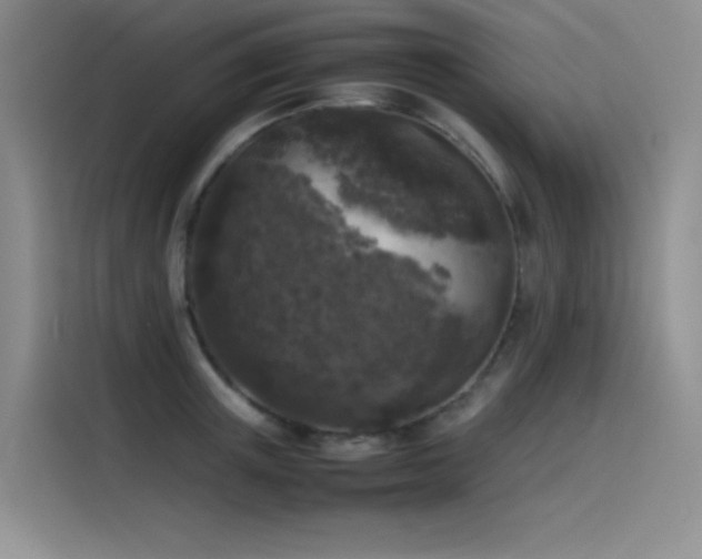 X0000116100851200911231124
