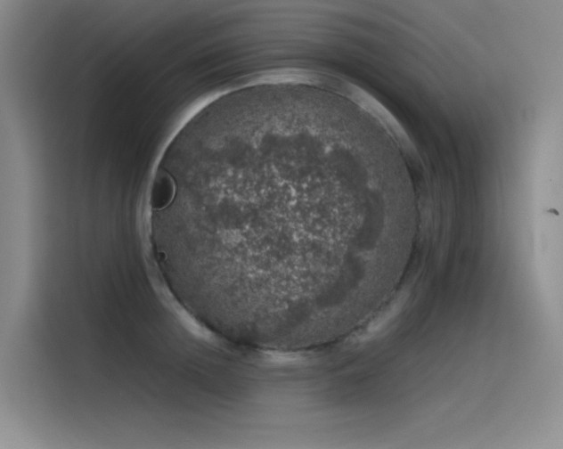 X0000116100852200911231124