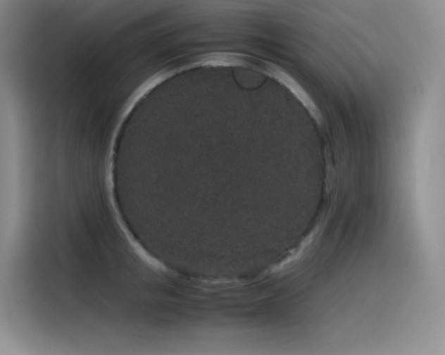 X0000116100853200911231124