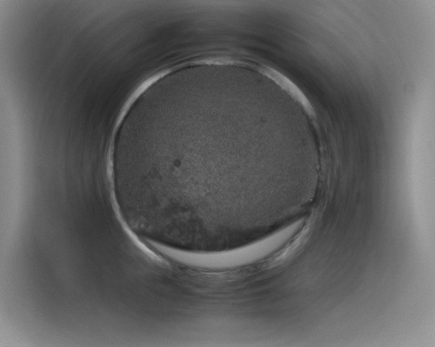 X0000116100855200911231124