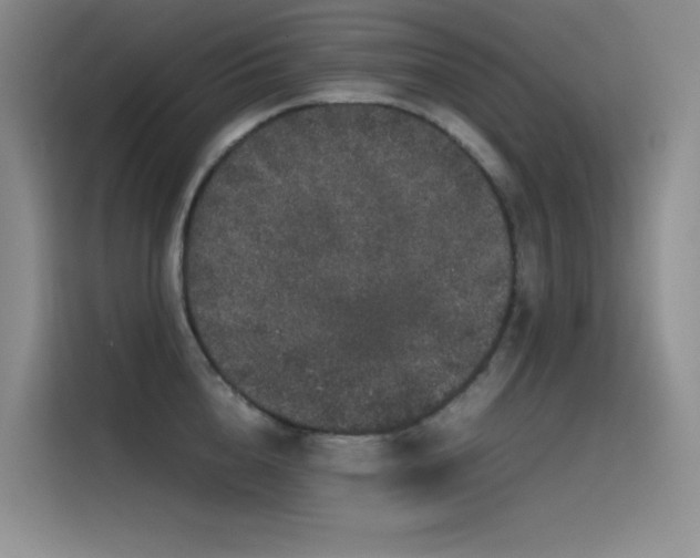 X0000116100856200911231124