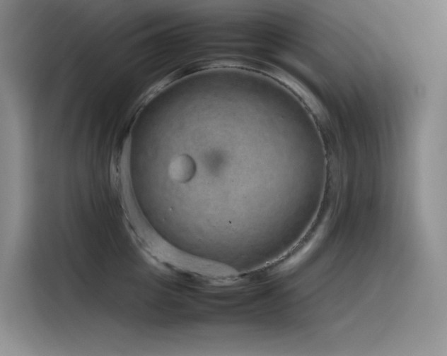 X0000116100857200911231124