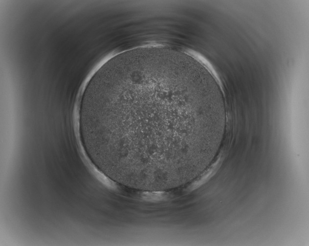 X0000116100859200911231124