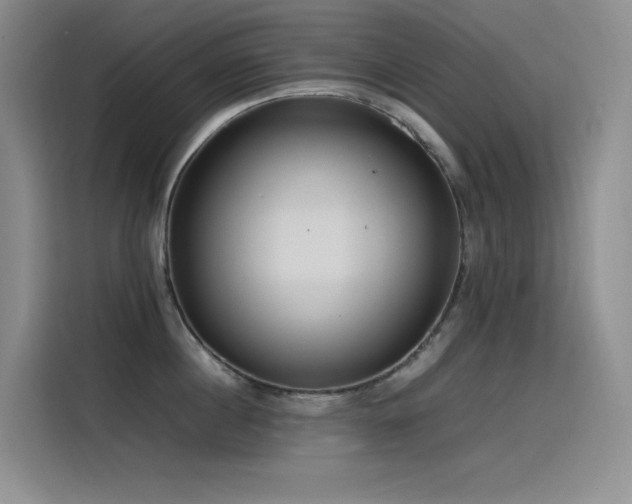 X0000116100860200911231124