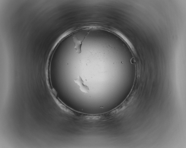 X0000116100861200911231124
