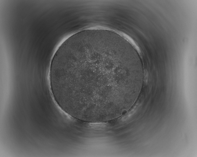 X0000116100863200911231124