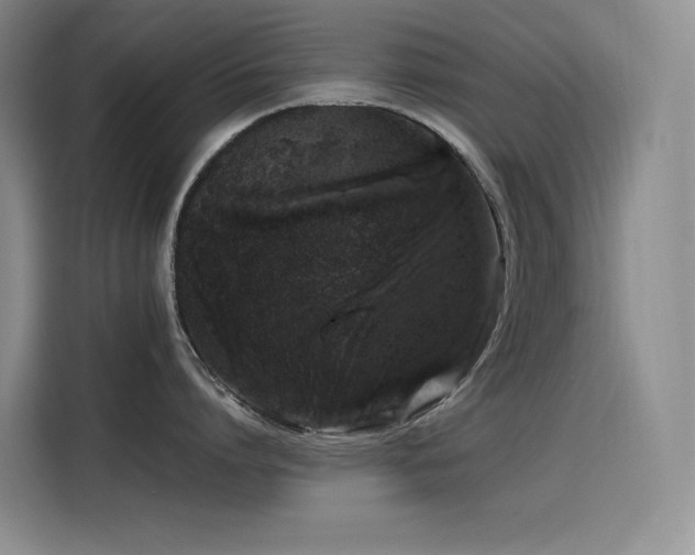X0000116100864200911231124