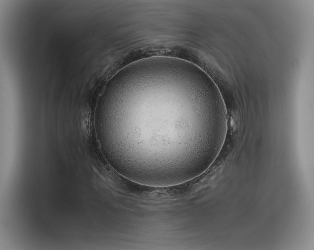 X0000116100867200911231123