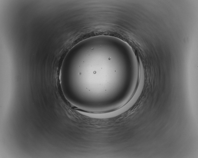 X0000116100868200911231123