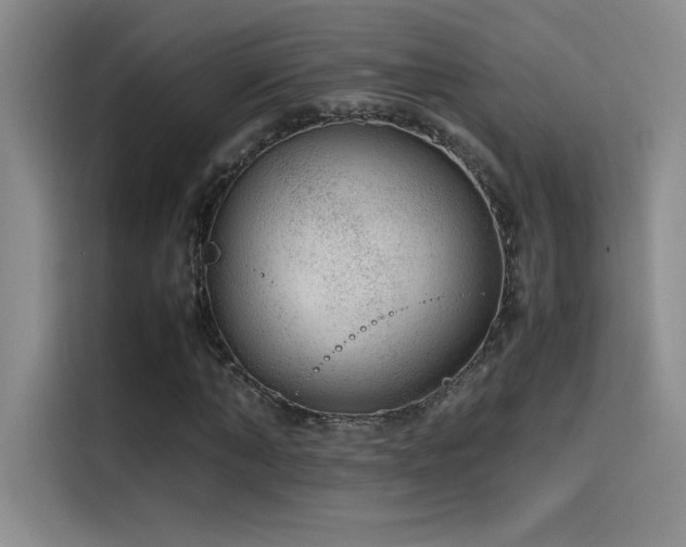 X0000116100870200911231123