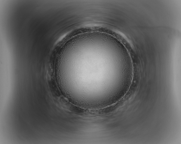 X0000116100871200911231123