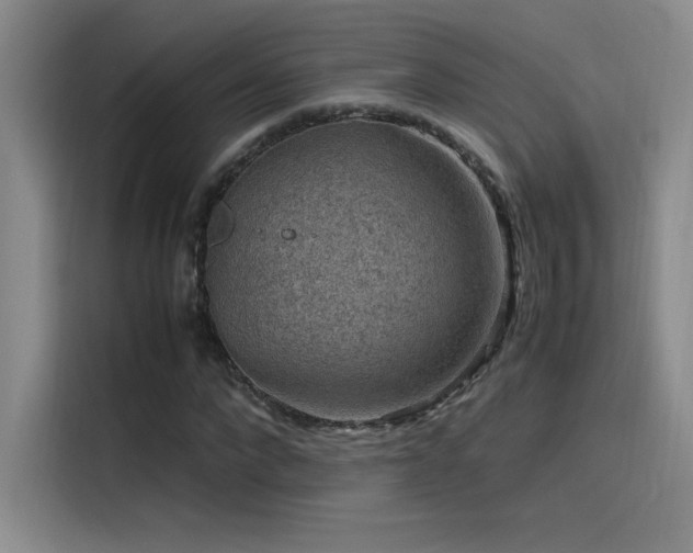 X0000116100872200911231123