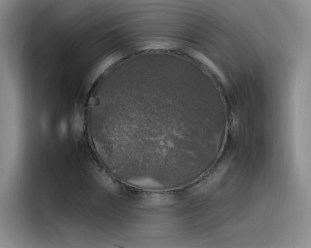 X0000116100874200911231123