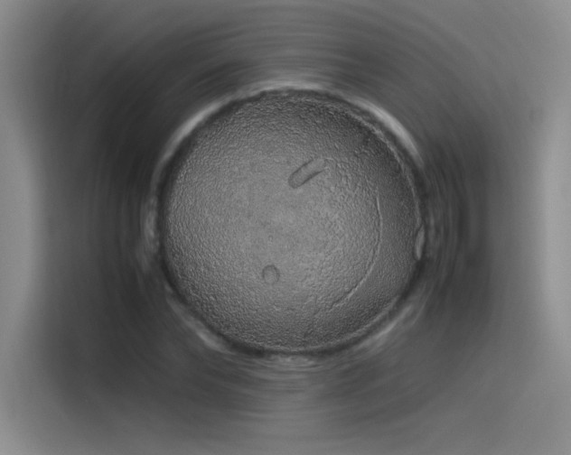 X0000116100878200911231123