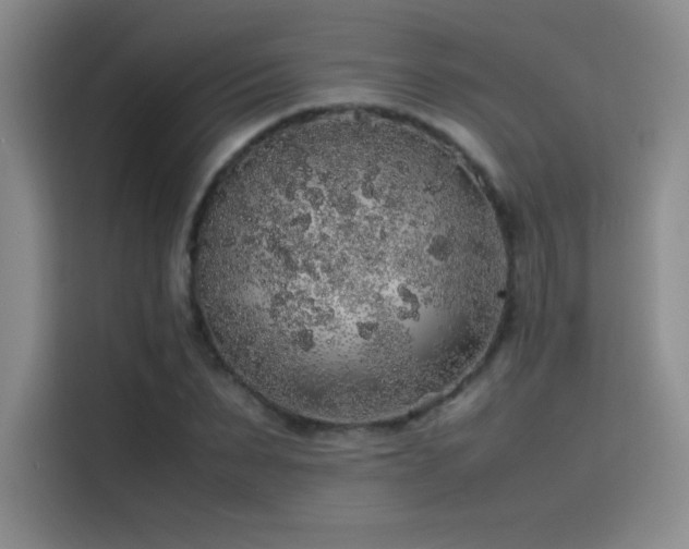 X0000116100879200911231123