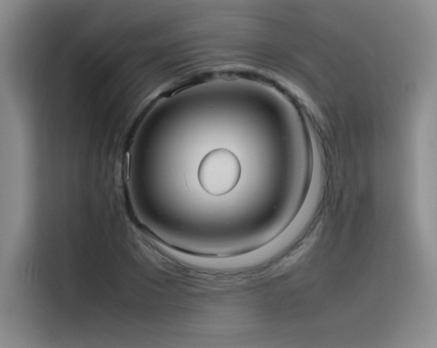 X0000116100881200911231123