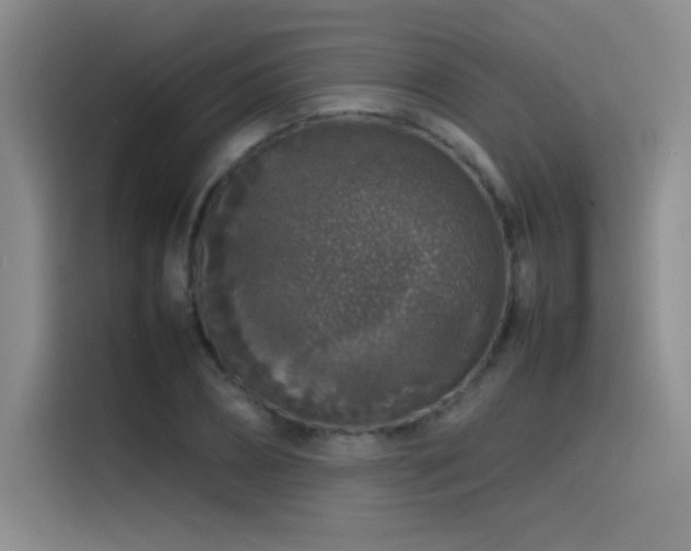 X0000116100882200911231123