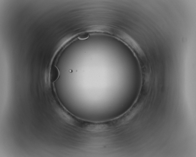 X0000116100884200911231123